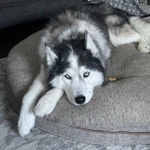 Meet your Posher, Stacy